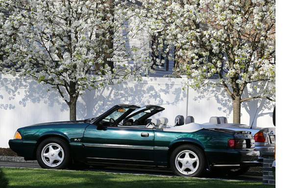 92 ford mustang lx 5.0 convertible green white top no rust anywhere v8 foxbody