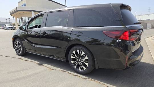 2025 Honda Odyssey (North America)