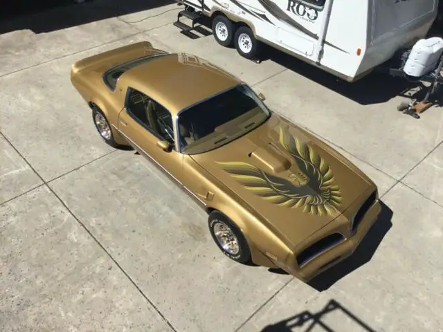 1970 1971 1972 1973 1974 1975 1976 1977 1978 1979 1980 pontiac firebird trans am