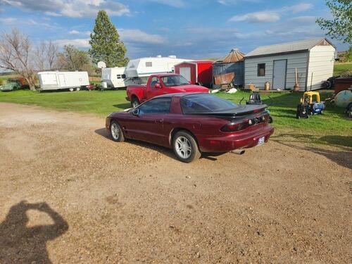 2002 pontiac firebird formula t top ls1 69648 miles on it. new tires. runs and