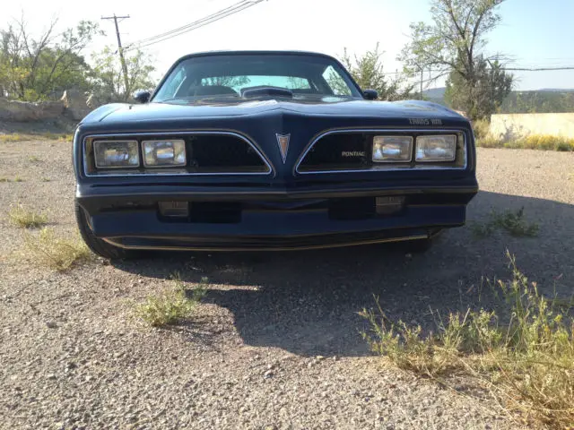 trans am bandit y82 w72 ws6 se special edition