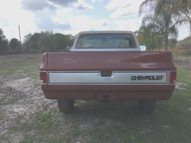 1982 chevy 1500