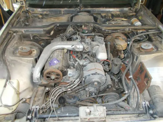 1981 porsche 924 turbo "field find"
