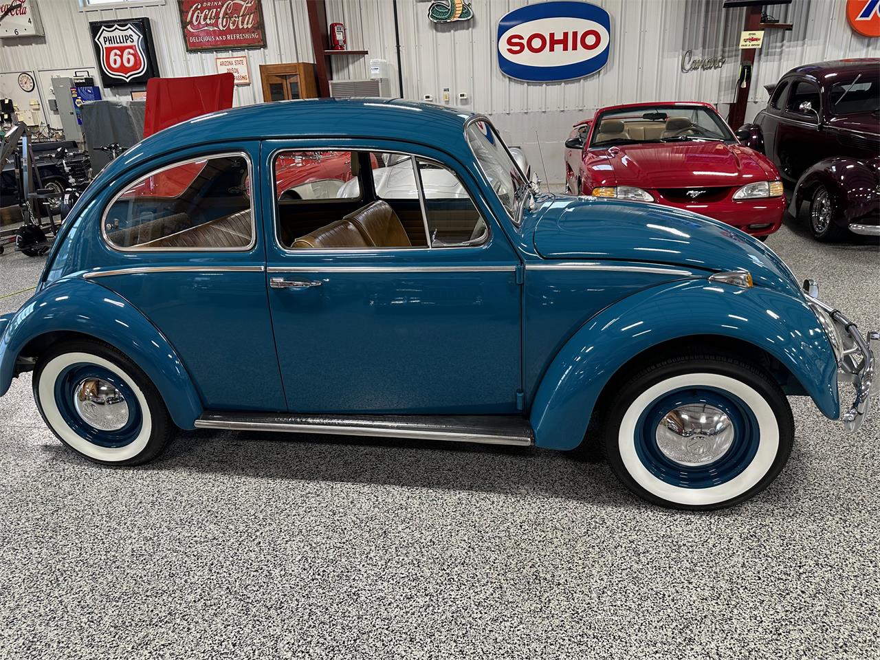 1965 volkswagen beetle