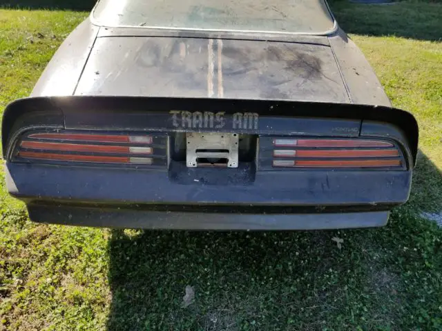 1976 trans am golden anniversary