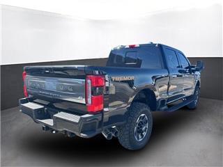 2023 Ford F-250 platinum