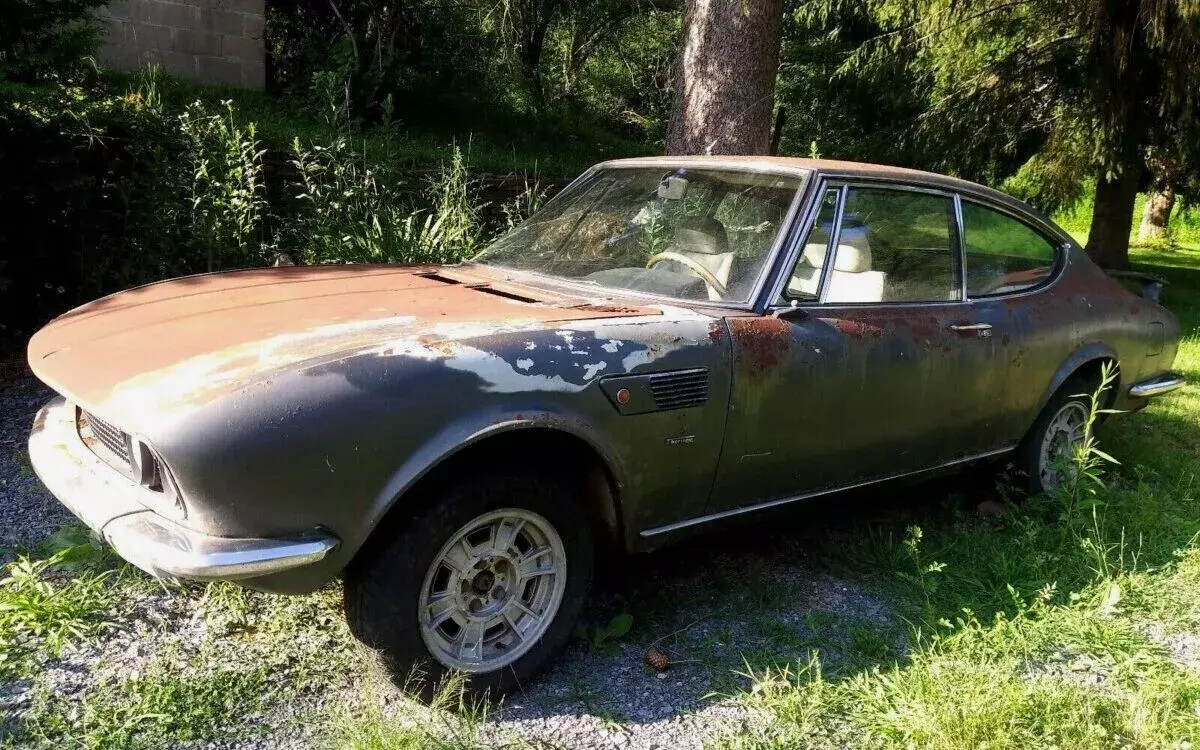 fiat dino ferrari
