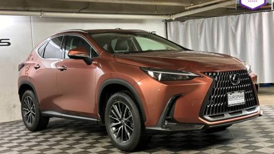 2025 Lexus NX