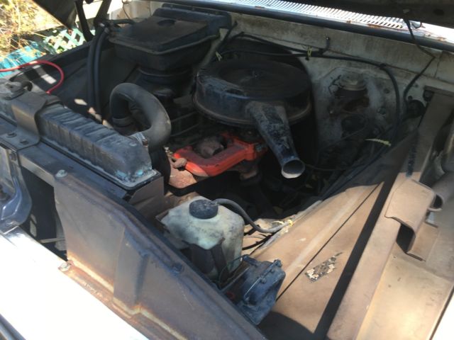 1964 c10 chevy truck