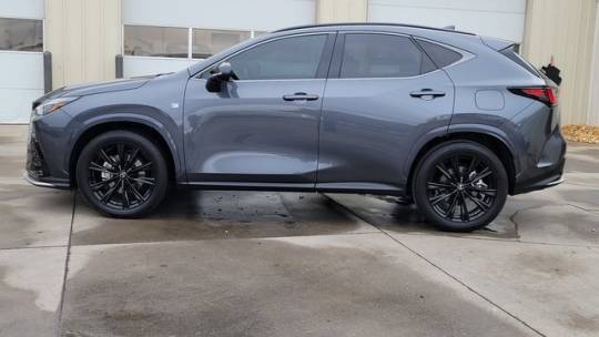 2024 Lexus NX