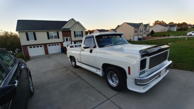 1973 chevrolet customized truck