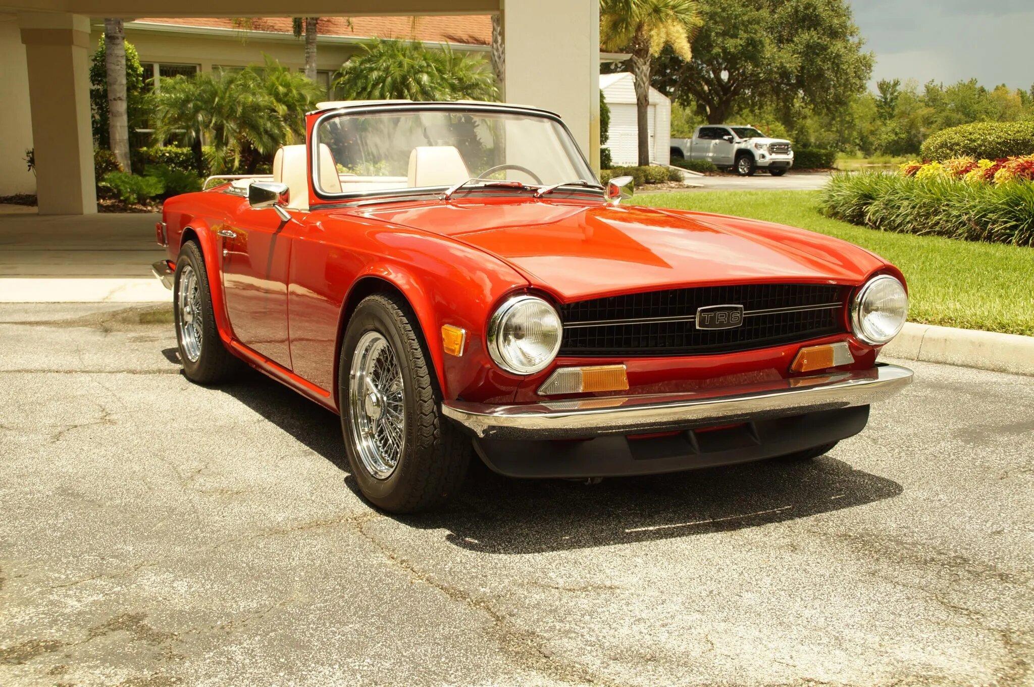 triumph tr6