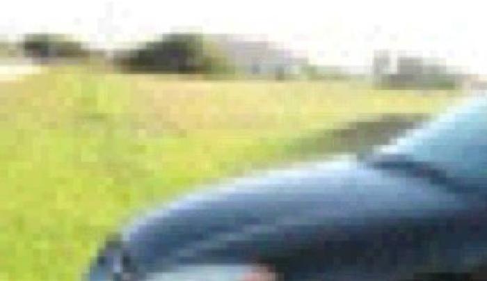 2001 does taurus in cape coral, fl