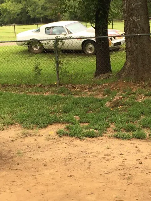 drag race car. garage kept only 15/16 passes made. will run 9/10 in 1/4 mile