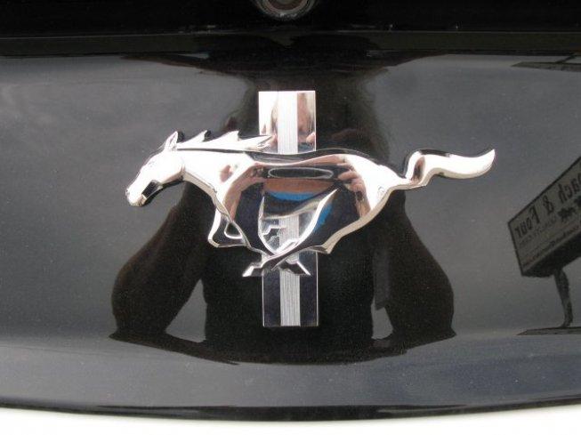 2015 ford mustang convertible for sale in logan, north dakota
