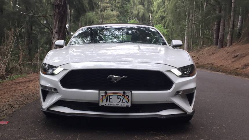 2019 ford mustang ecoboost