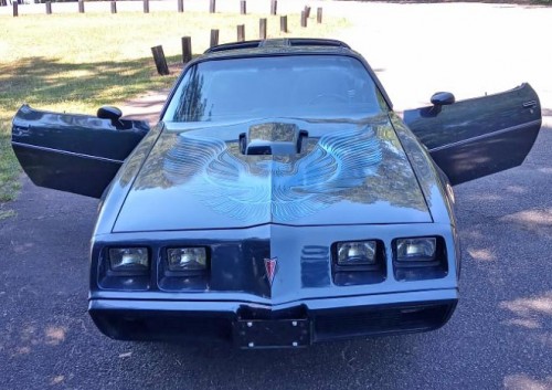 1981 pontiac trans am for sale in south carolina by owner