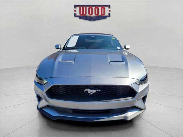 2023 ford mustang ecoboost
