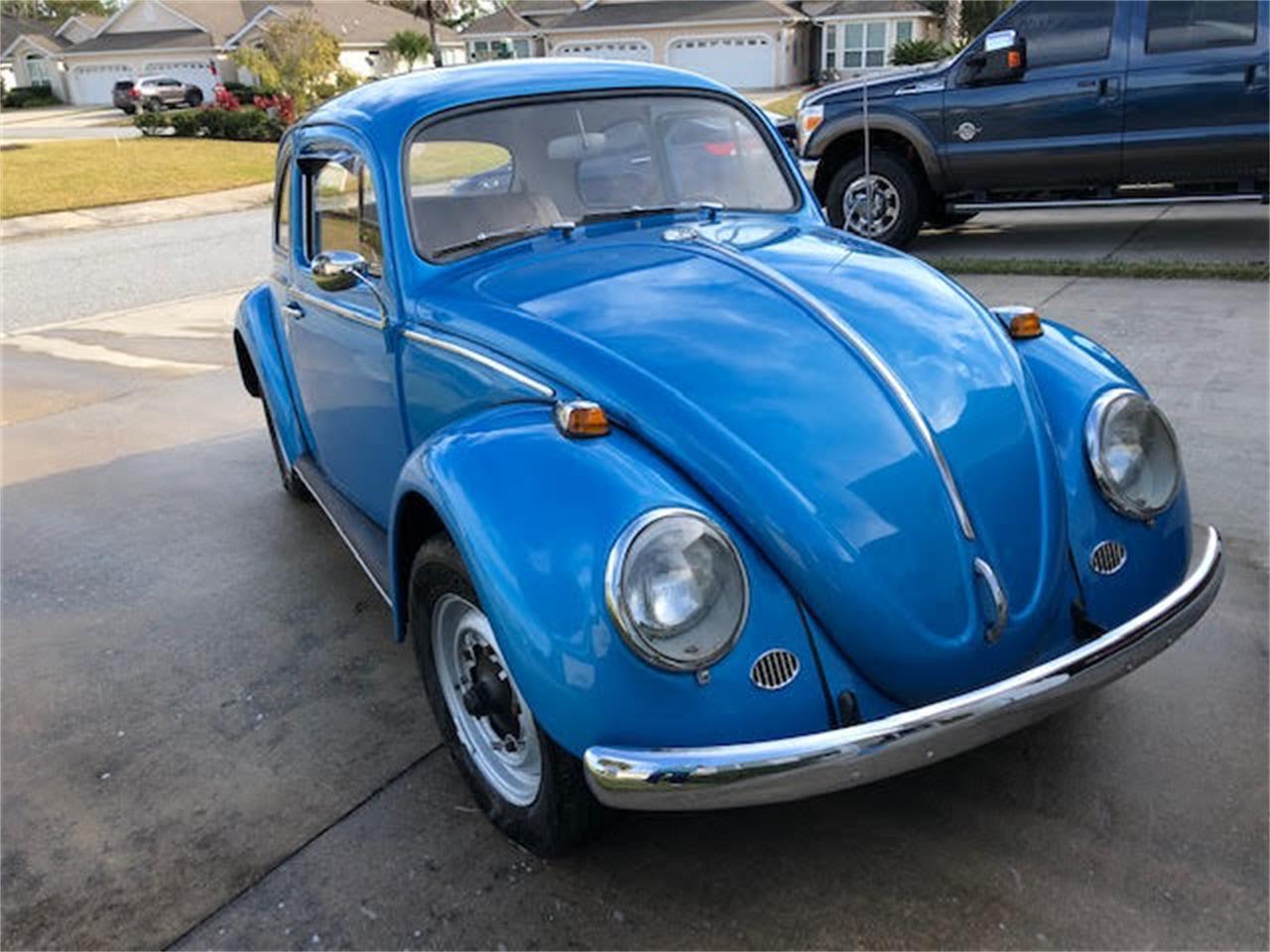 1964 volkswagen beetle