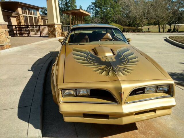 1978 pontiac trans am special gold y88 special edition trans am