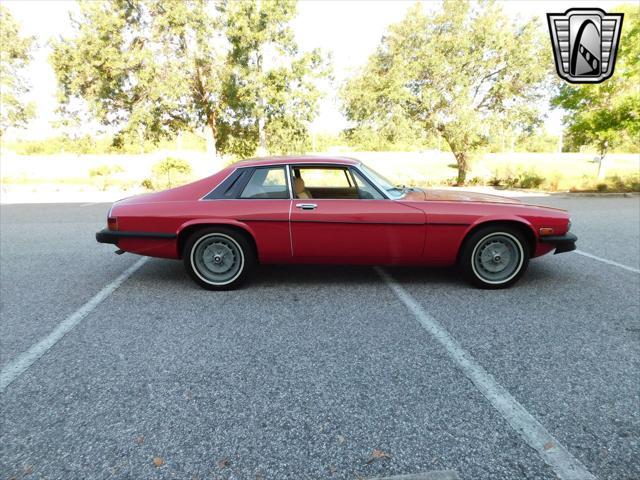 1977 jaguar xjs coupe