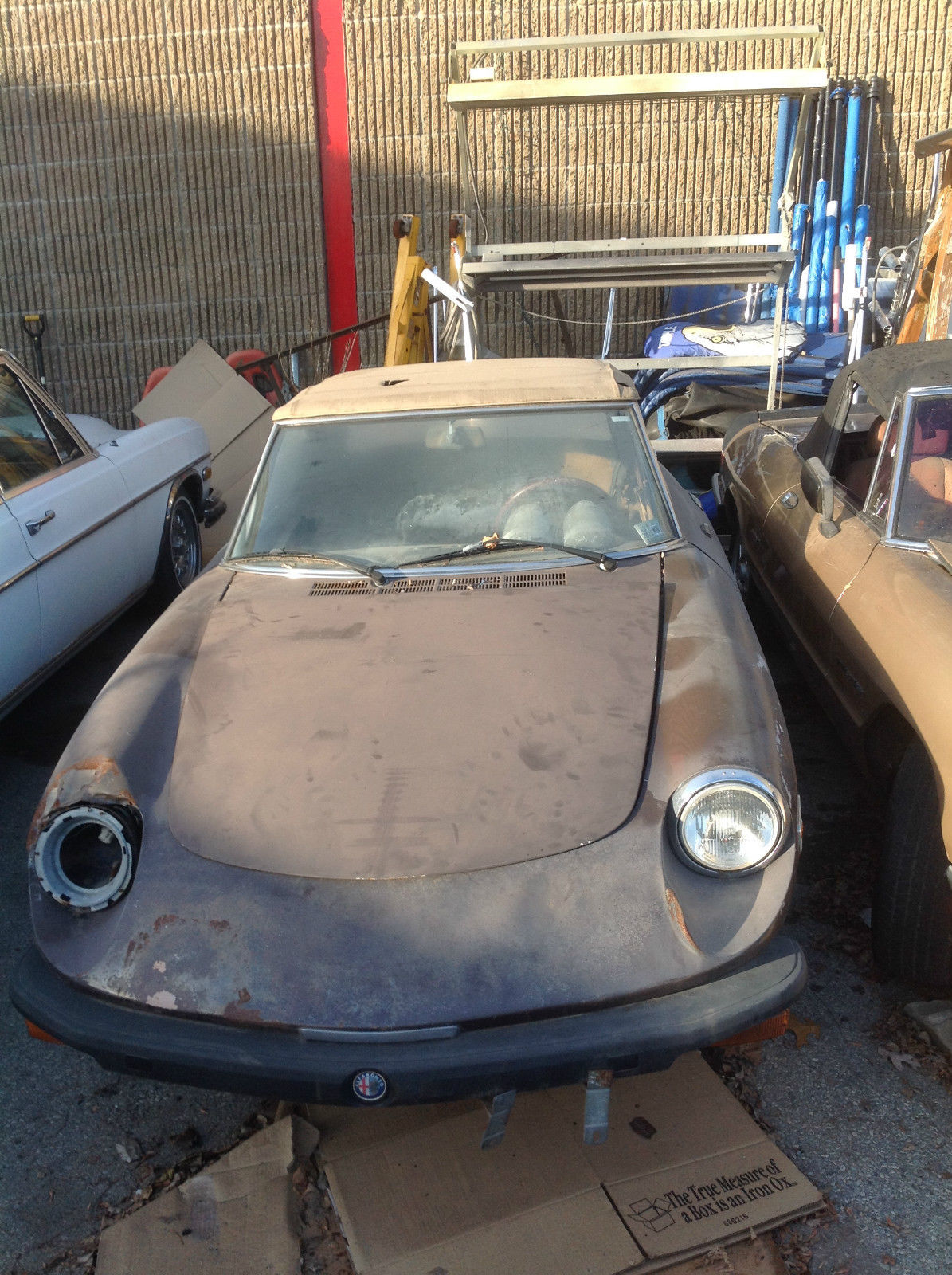 alfa romeo spider 1979