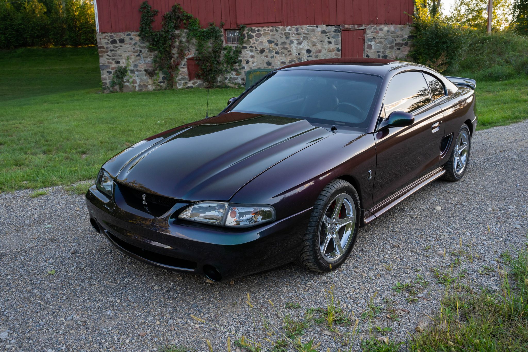 1996 ford mustang svt cobra coupe 6-speed