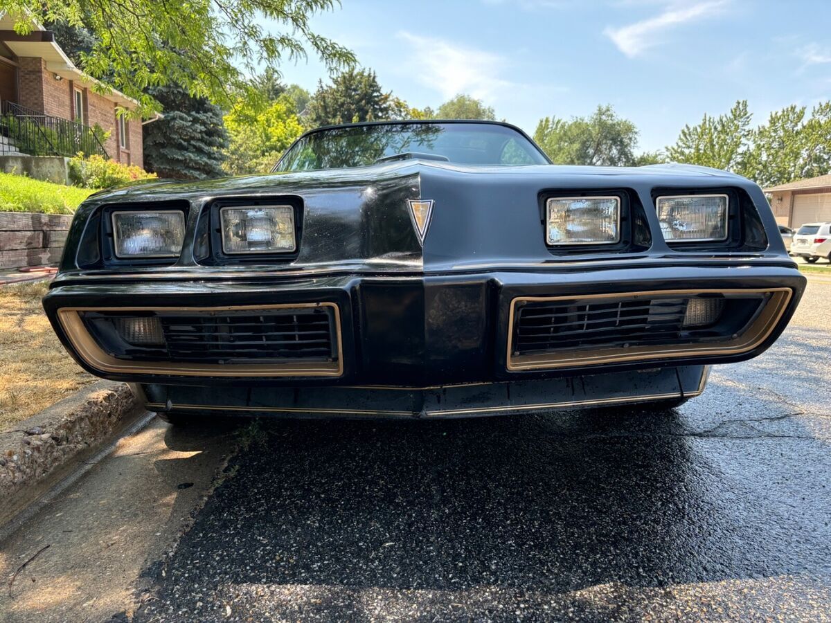 1981 pontiac firebird 1/932 black special edition y84 trans am