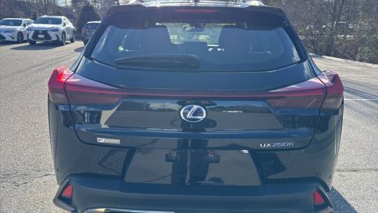 2021 Lexus UX