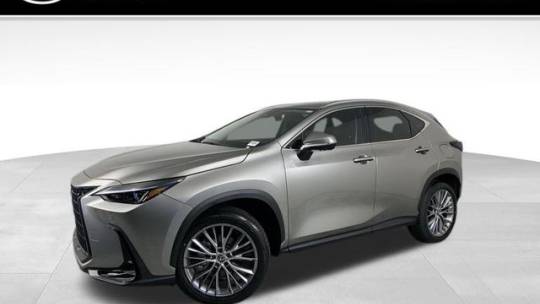 2025 Lexus NX