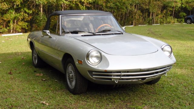 alfa romeo spider 1981