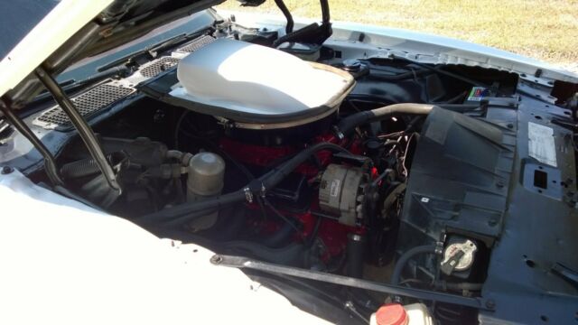 pontiac firebird trans am 1981