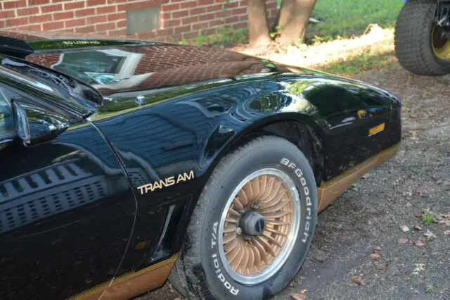 1983 pontiac firebird trans-am v8 automatic beautiful