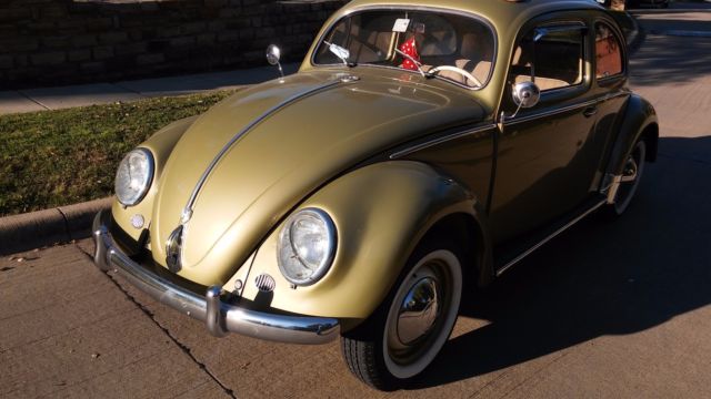 1956 beetle sedan