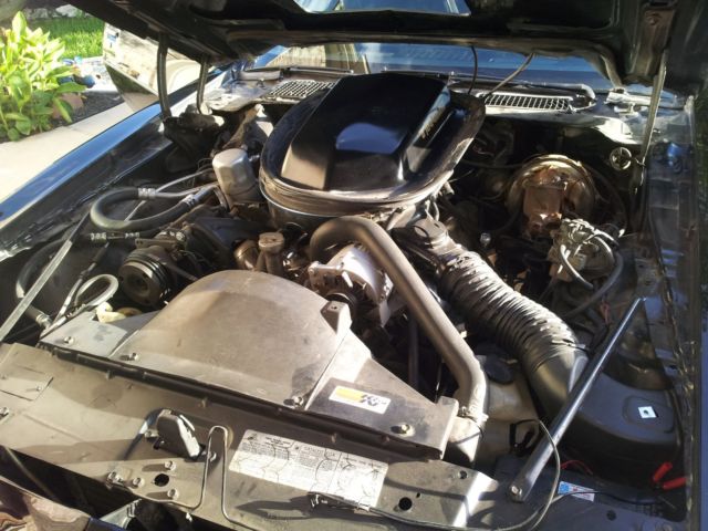 1979 pontiac trans am y84 special edition ws6 403ci v8