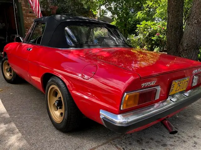pristinely sorted red alfa spider