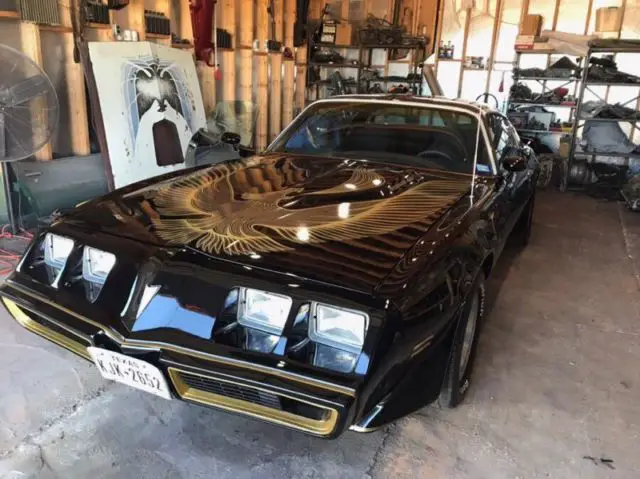 1981 pontiac trans am special edition y84 ws6 4.9 turbo hatch roof