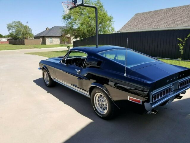 rare raven black shelby gt500