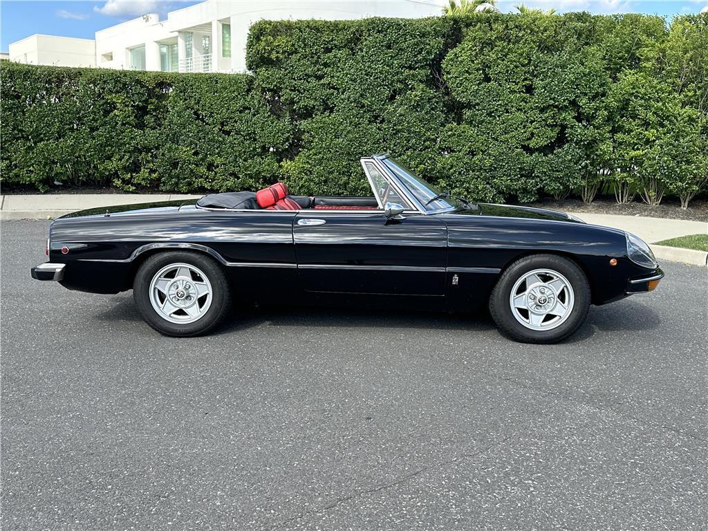 1974 alfa romeo spider