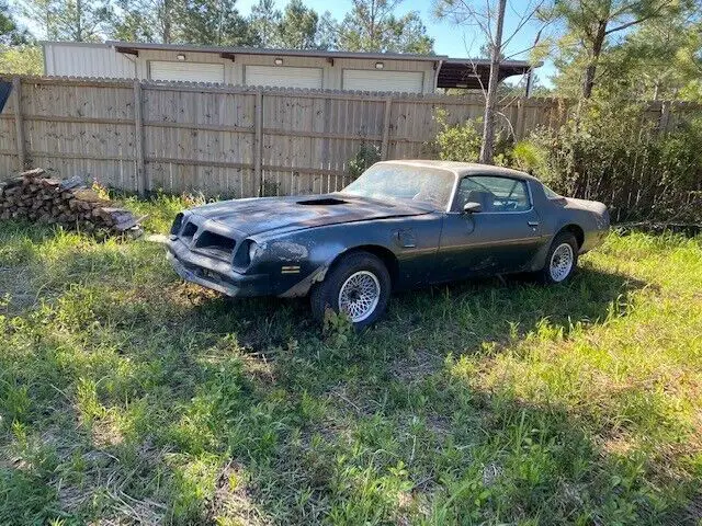 1976 trans am "no reserve"
