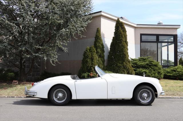 1959 jaguar xk 150