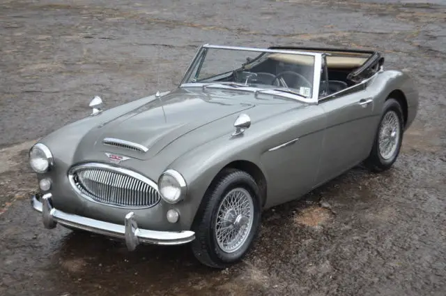 attractive strong driving big healey