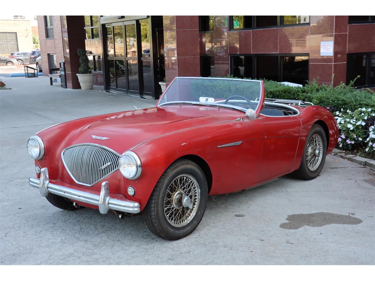 1955 austin-healey 100-4