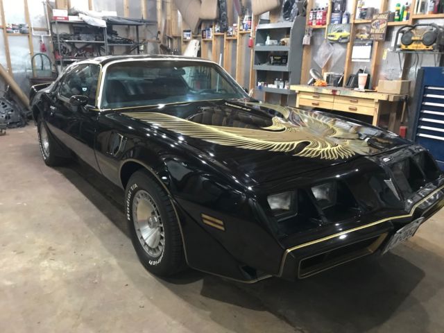 1981 pontiac trans am special edition y84 ws6 4.9 turbo t-top
