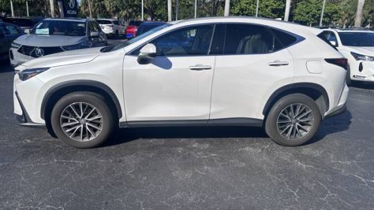 2024 lexus nx 250 premium