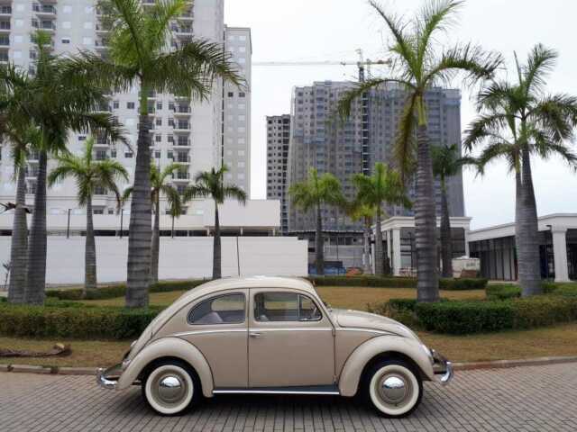 vw 1954 beetle classic restored