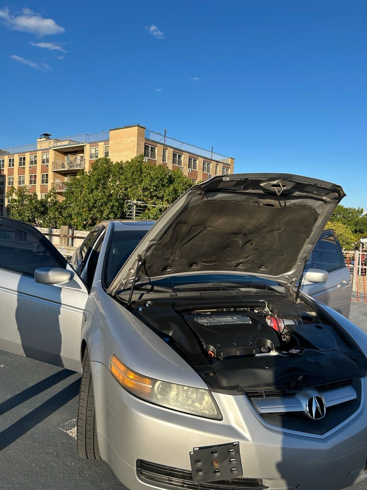 2006 acura tl