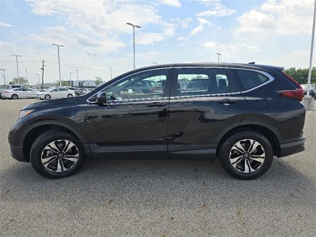 2021 honda cr-v special edition