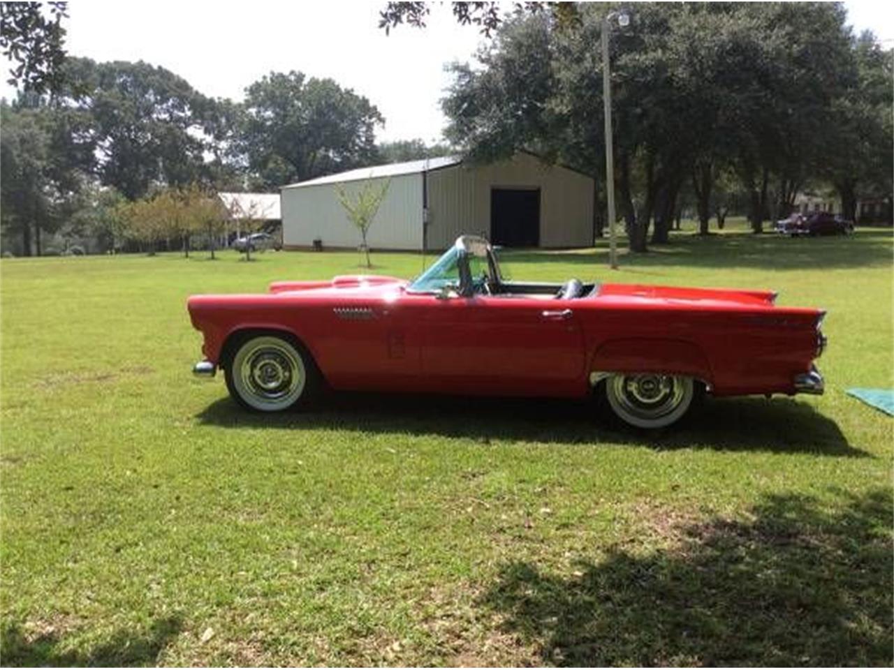 1956 ford thunderbird