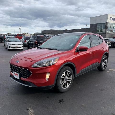 2020 ford escape sel